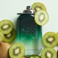 Fresh kiwi fruit and aroma diffuser for natural, refreshing scent.