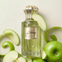 Ahmed Al Maghribi Zeleny