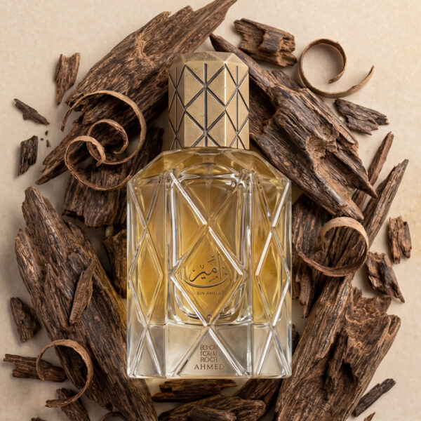 Ahmed Al Maghribi Bin Ameer