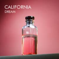Louis Vuitton California Dream