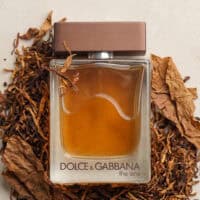 DNG (7) Dolce & Gabbana The One