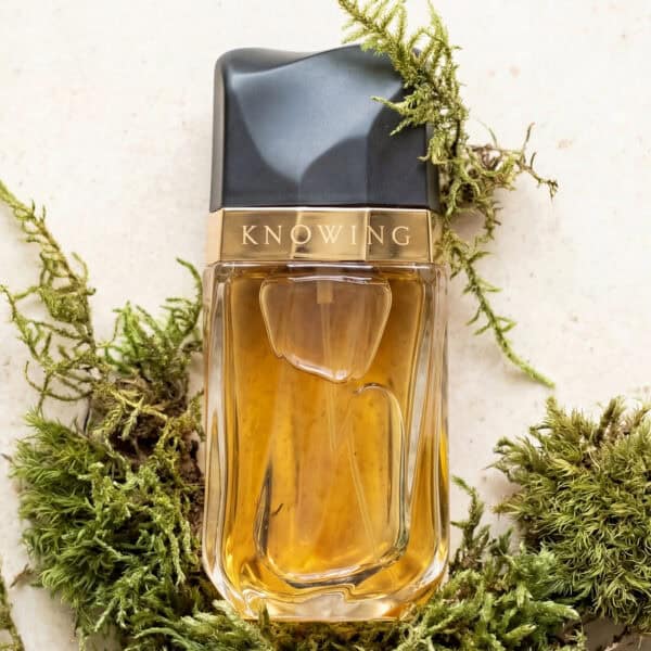 EL (1) Estée Lauder Knowing