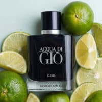 Giorgio Armani Acqua di Gio Elixir