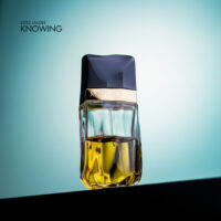 Estée Lauder Knowing