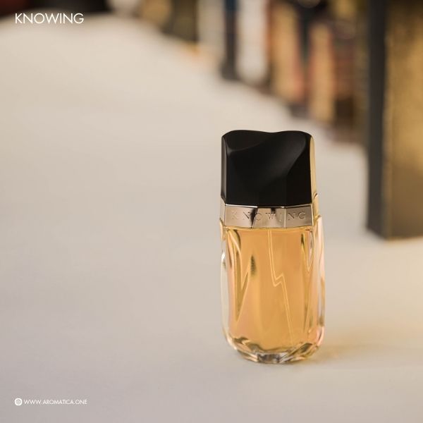 Estée Lauder Knowing