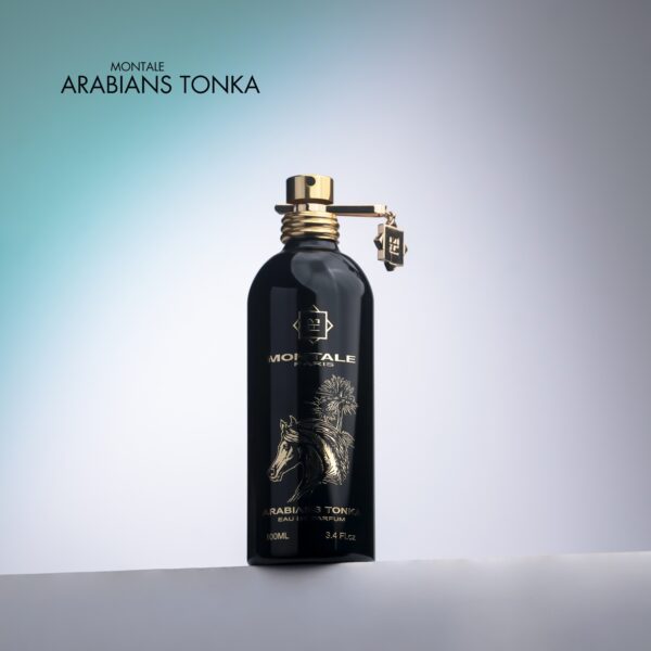 Montale Arabians Tonka Montale Arabians Tonka