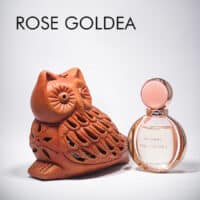 Bvlgari Rose Goldea