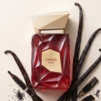 1 French Avenue Chaos