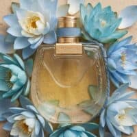 Chloe Nomade Lumière d’Égypte