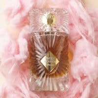 Gulf Orchid Sweet Heaven Extreme