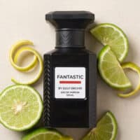 GO (6) Gulf Orchid Fantastic