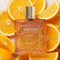 Rayhaan (3) Rayhaan Adonis Icarus