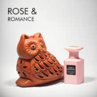 Gulf Orchid Rose & romance