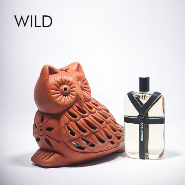 Dsquared² Wild