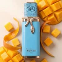 French Avenue Vulcan Feu