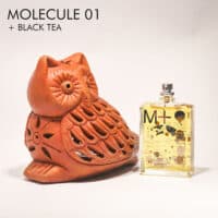 Escentric Molecules Molecule 01 + Black Tea