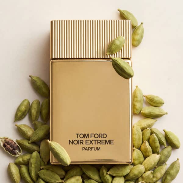 497 Tom Ford Noir Extreme Parfum