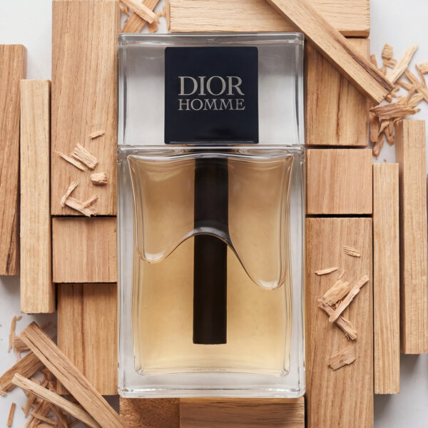 DIOR (14) Dior Homme