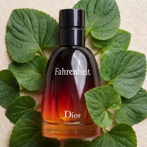 DIOR (7) Dior Fahrenheit Le Parfum