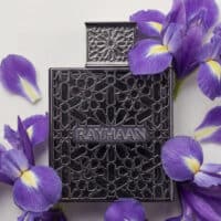 Rayhaan (10) Rayhaan Obsidian