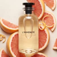 20251204-Generated Image December 04, 2025 - 8_47AM Louis Vuitton L'Immensité