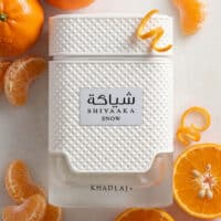 20251204-Generated Image December 04, 2025 - 9_07AM Khadlaj Shiyaaka Snow