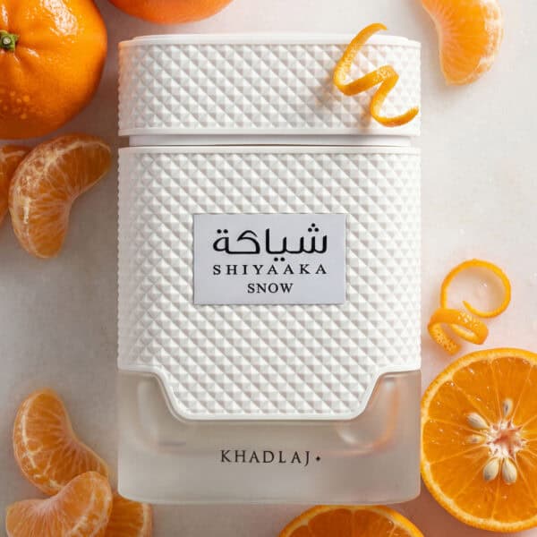 20251204-Generated Image December 04, 2025 - 9_07AM Khadlaj Shiyaaka Snow