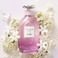 Coach Dreams Moonlight